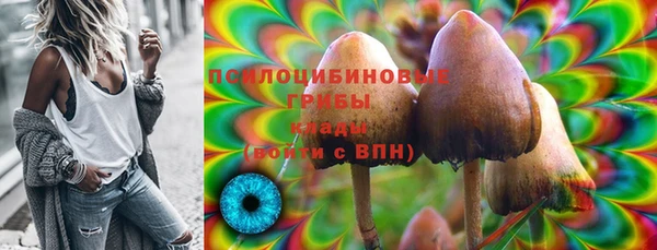 винт Куйбышев